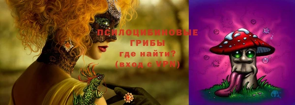 mdpv Заводоуковск