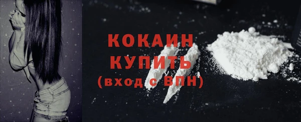 мяу мяу мука Заволжск