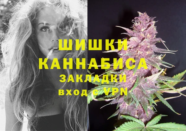 mdpv Заводоуковск