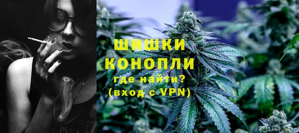 mdpv Заводоуковск
