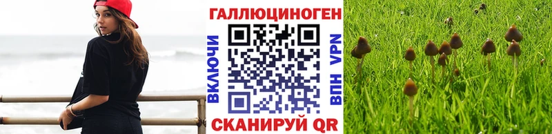 Галлюциногенные грибы Cubensis  Зверево 